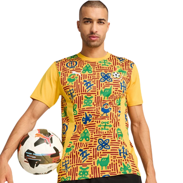 Ghana Entrenamiento Camiseta 2025/26
